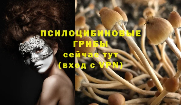 MDMA Premium VHQ Бородино
