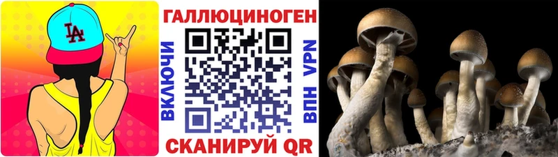 Купить закладки  Минусинск  Галлюциногенные грибы прущие грибы 